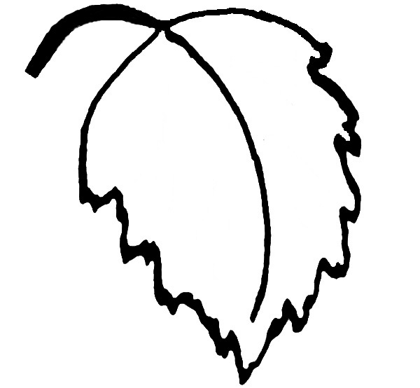 laufbrekka.is